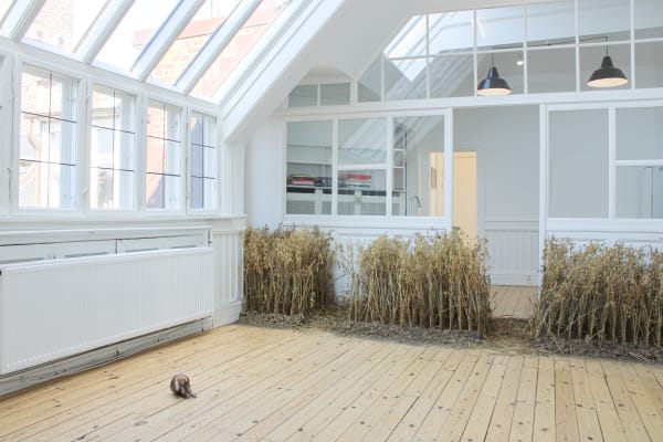 Tue Greenfort 2021 Marken Er Meget Installation View Alice Folker Gallery 02