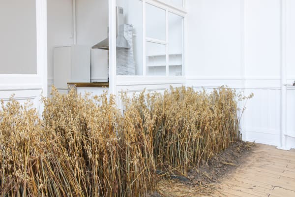 Tue Greenfort 2021 Marken Er Meget Installation View Alice Folker Gallery 04