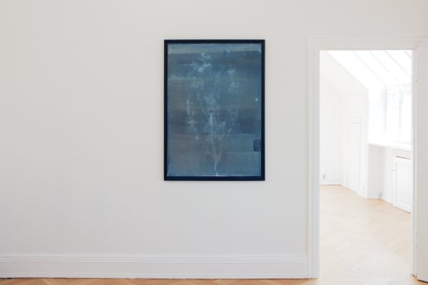 Tue Greenfort 2021 Marken Er Meget Installation View Alice Folker Gallery 06