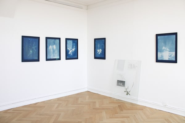 Tue Greenfort 2021 Marken Er Meget Installation View Alice Folker Gallery 07