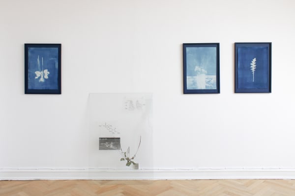 Tue Greenfort 2021 Marken Er Meget Installation View Alice Folker Gallery 08