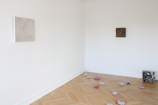 Tue Greenfort 2021 Marken Er Meget Installation View Alice Folker Gallery 10