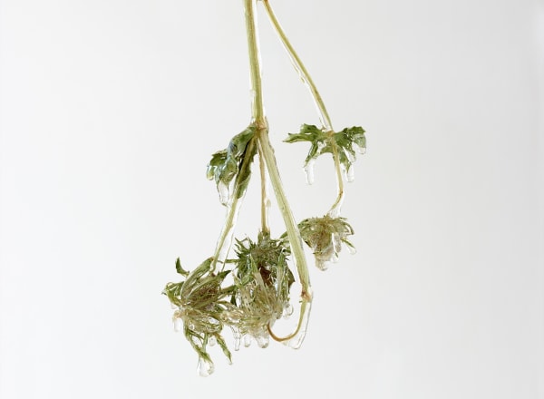 Nat Bloch Gregersen Dressed In Saturn Installation View Alice Folker Gallery 22