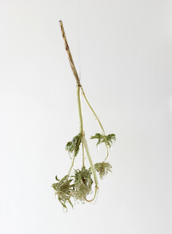 Nat Bloch Gregersen Dressed In Saturn Installation View Alice Folker Gallery 23