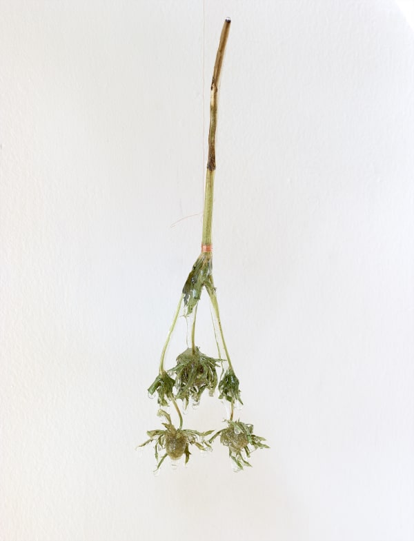 Nat Bloch Gregersen Dressed In Saturn Installation View Alice Folker Gallery 24