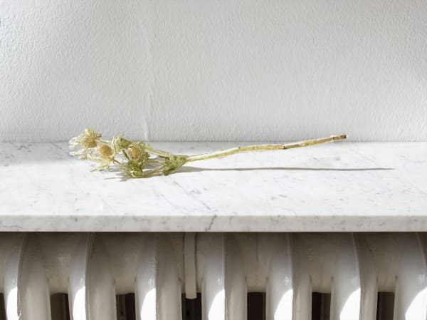 Nat Bloch Gregersen Dressed In Saturn Installation View Alice Folker Gallery 25