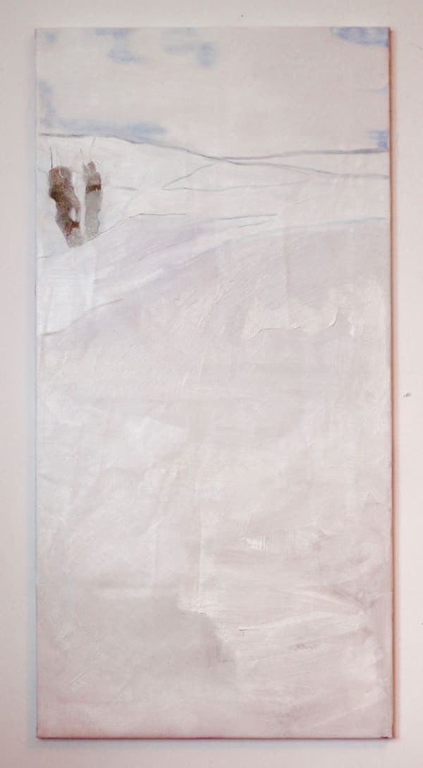 Landscape In New Snow