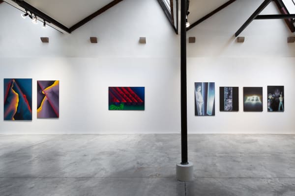 Galerieeast Meynard Schlier Emilievialet Web 008