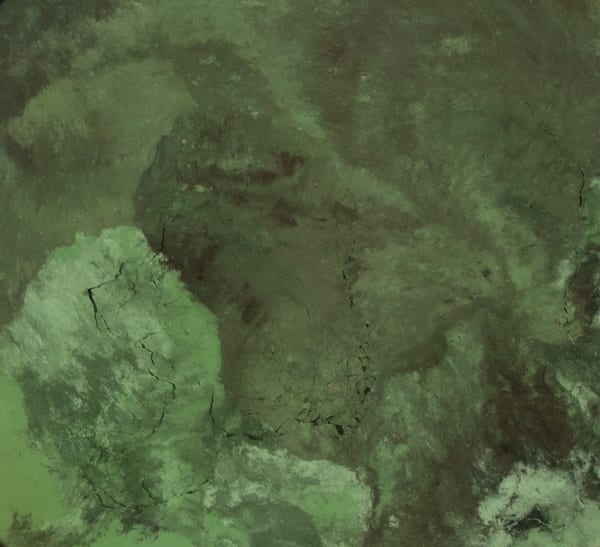 Sophie KO - Il rifugio, 2025