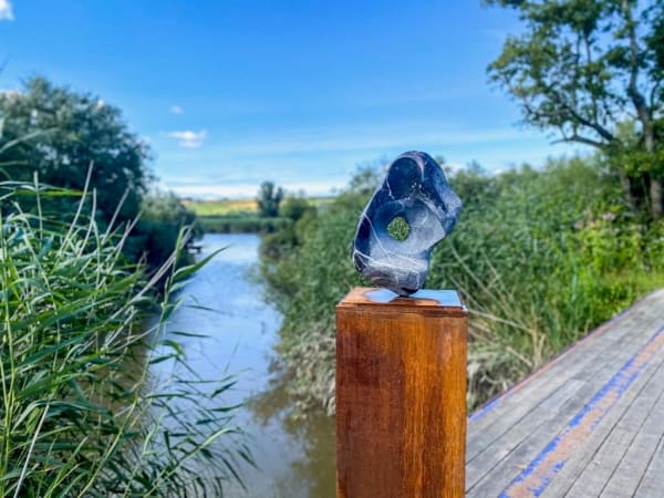 Luke Alen Buckley Mm Xi 2020 1