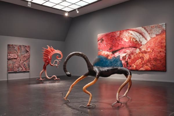 Installation view of Agnes Questionmark's work