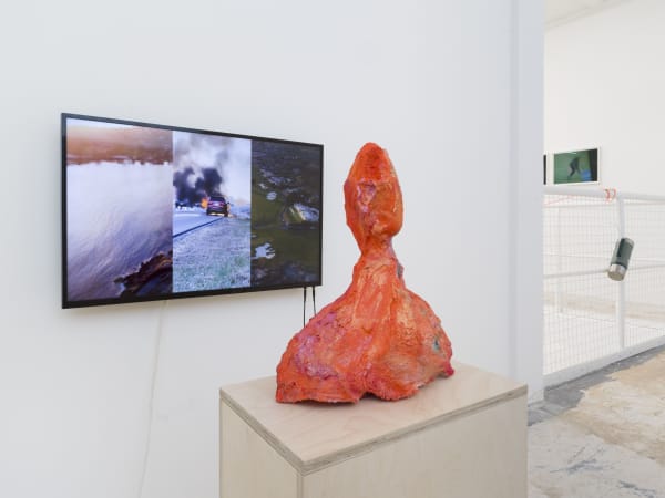 Kfgb 2024 Rh Bird Watching Roman M Rz 27