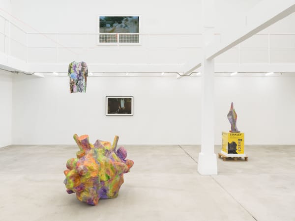 Kfgb 2024 Rh Bird Watching Roman M Rz 36