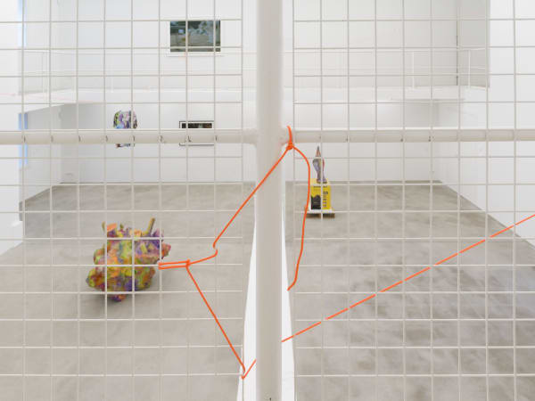 Kfgb 2024 Rh Bird Watching Roman M Rz 39