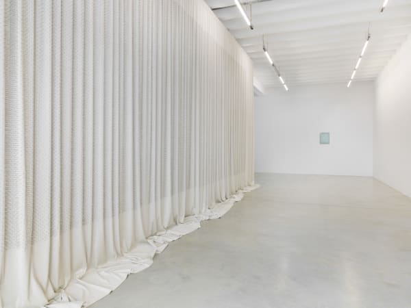 003 Edith Dekyndt They Shoot Horses Part Two Konrad Fischer Galerie Berlin April 2017 A6606651