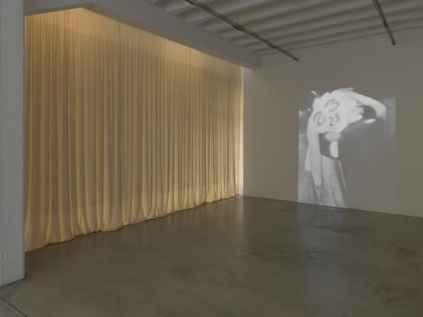 004 Edith Dekyndt They Shoot Horses Part Two Konrad Fischer Galerie Berlin April 2017 A6606665