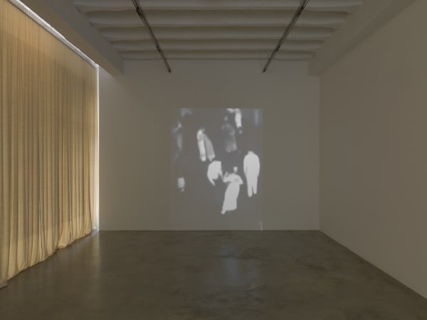 005 Edith Dekyndt They Shoot Horses Part Two Konrad Fischer Galerie Berlin April 2017 A6606659