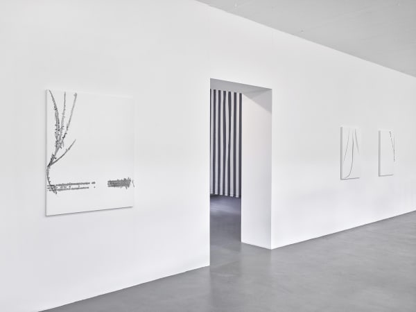 Kfg 2020 Lines Achim Kukulies 44