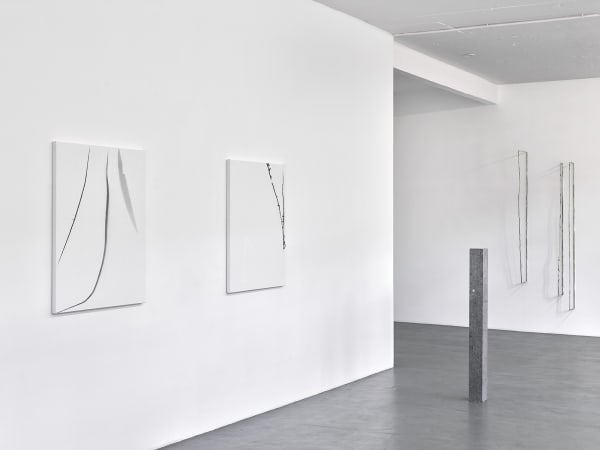 Kfg 2020 Lines Achim Kukulies 46