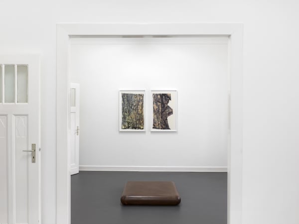 Ac Ausstellungsansicht Vorderhaus 2019