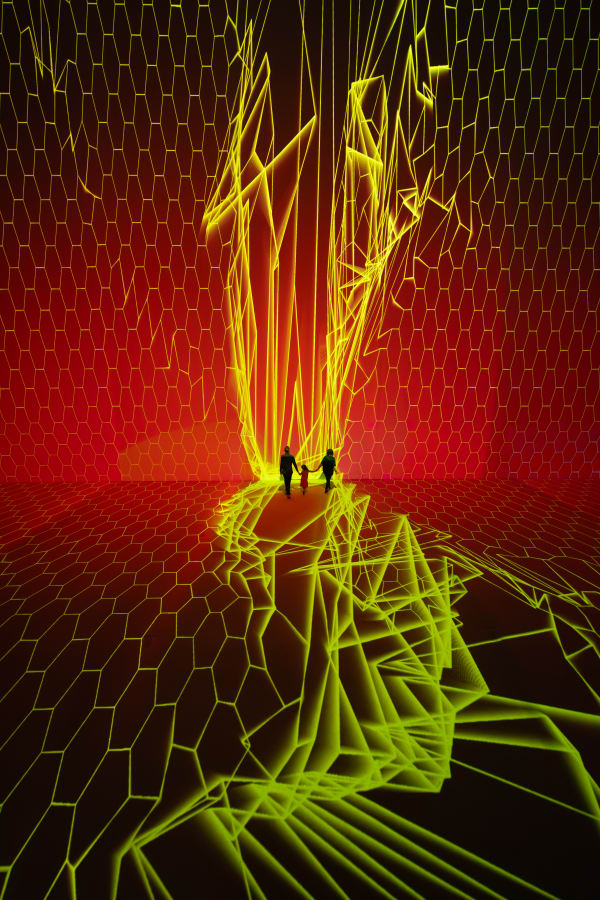 Maillages Cosmiques Credit Thomas Granovsky 4