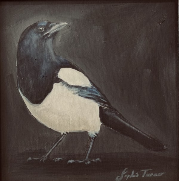 Sophie Turner, Corvids