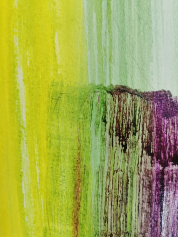 A Few Words, In The Long Grass