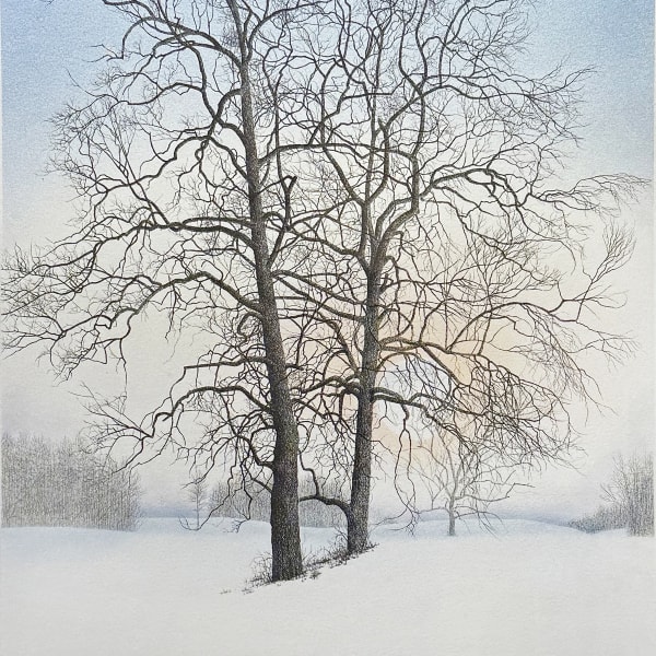 CATHERINE COLSHER - CATHERINE COLSHER CATALPA SUNRISE