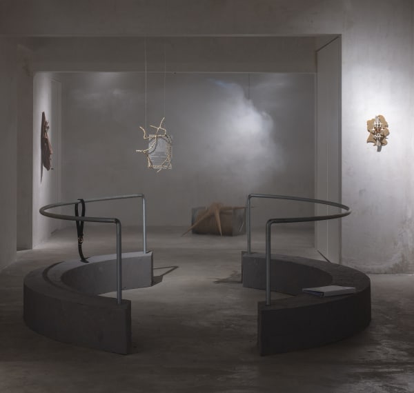 Como un tiro, un clavel Pablo Andino (CDMX - Gallery)