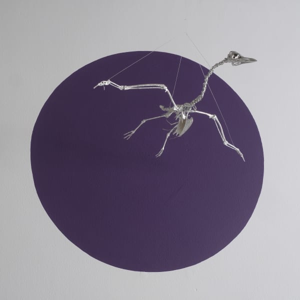 Reporte del Clima Juana Córdova (GYE)