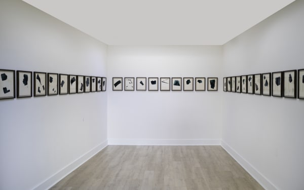 Sam Install 4 Amended Ceiling