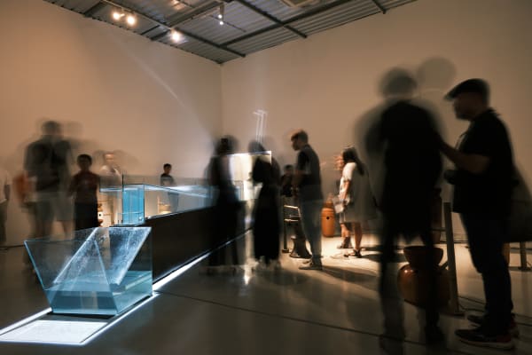 WAVE GARDEN / EL PARADISO