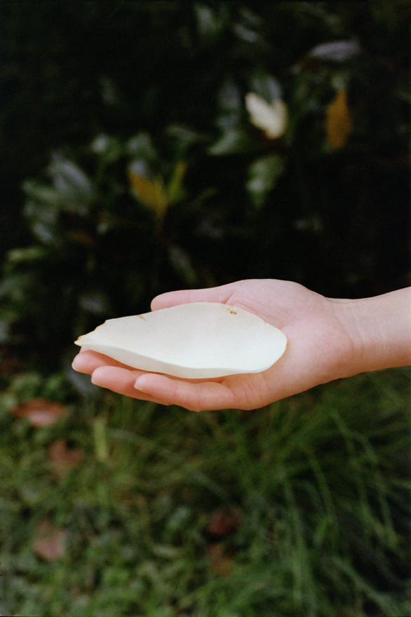 Viriya Chotpanyavisut is participating in 10th Daegu Photo Biennale, THE PULSE OF LIFE