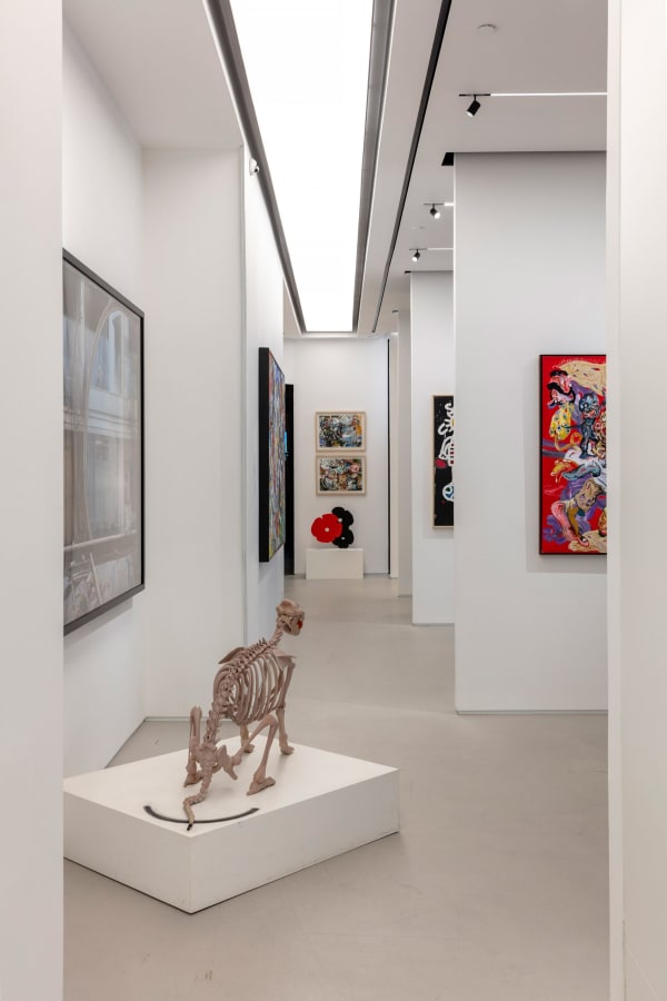 Wild Spring Installation Shots 22 Scaled