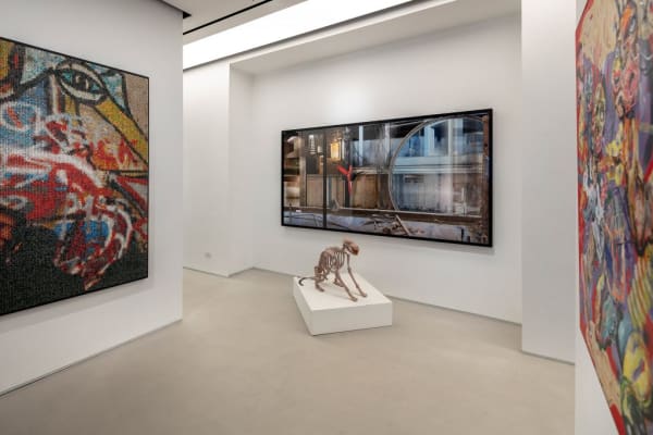 Wild Spring Installation Shots 6 1024X682