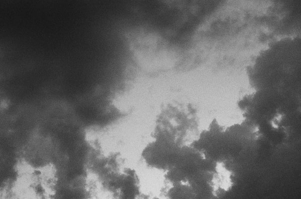 Andrew Martin, Untitled (Golden Isles, 2), 2024