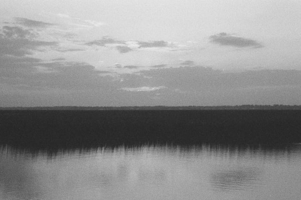 Andrew Martin, Untitled (Golden Isles, 5), 2024