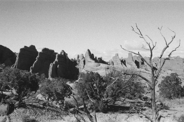Andrew Martin, Untitled (Winter Arches, 3), 2024