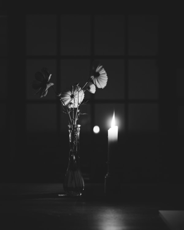 Andrew Martin, Periwinkle, Night, 2025