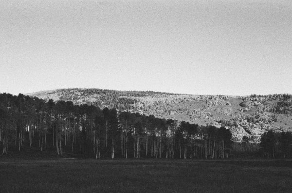 Andrew Martin, Untitled (Fish Lake, 2), 2023