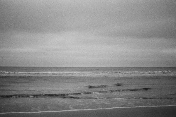 Andrew Martin, Untitled (Golden Isles, 4), 2024