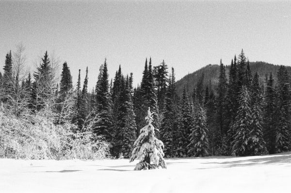 Andrew Martin, Untitled (Uintas, 2), 2024