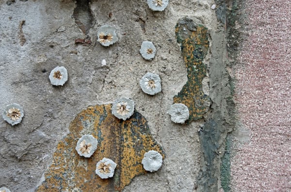 Screen Shot 2026 01 18 At 13 39 14