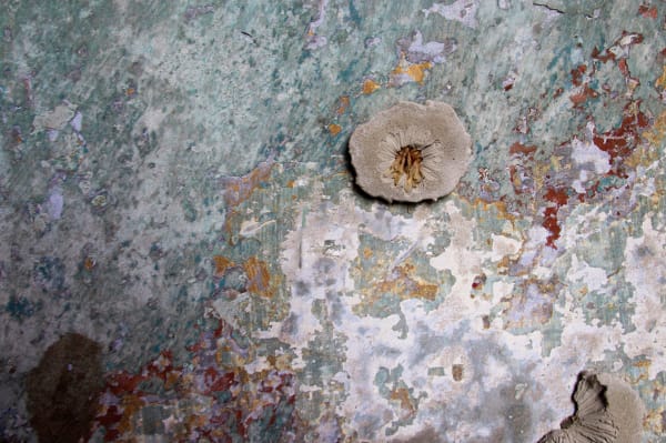 Screen Shot 2026 01 18 At 13 42 56