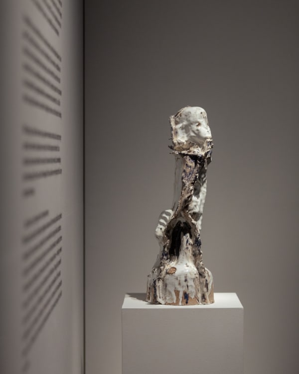 Whatsapp Image 2026 01 21 At 22 34 38 5