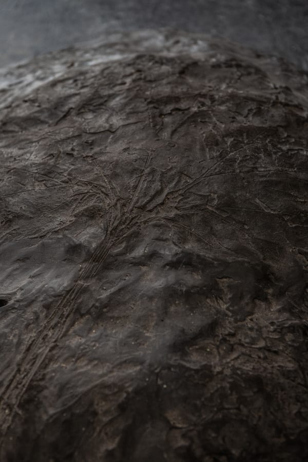 Herma De Wit Earth S Crest 4