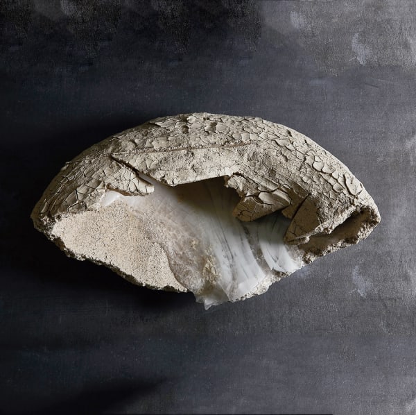 Ogawa Machiko (b. 1946) , Helvetica, Arial, sans-serif\">Crystals and Memories , Helvetica, Arial, sans-serif\">2017 , Helvetica, Arial, sans-serif\">Porcelainous stoneware with glass glaze , Helvetica, Arial, sans-serif\">9 1/2 x 26 x 17 inches , Helvetica, Arial, sans-serif\">Inv# 10859 , Helvetica, Arial, sans-serif\">SOLD