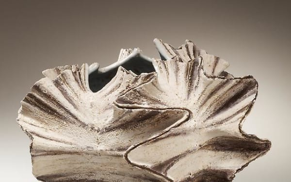 Reflections on Nature