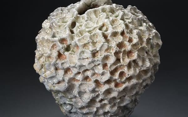 Hoshino Kayoko | Hoshino Satoru