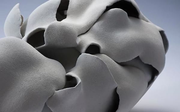 Desert Bloom: Form and Motion in Clay